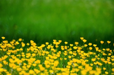 Natur- und Landschaftsführungen