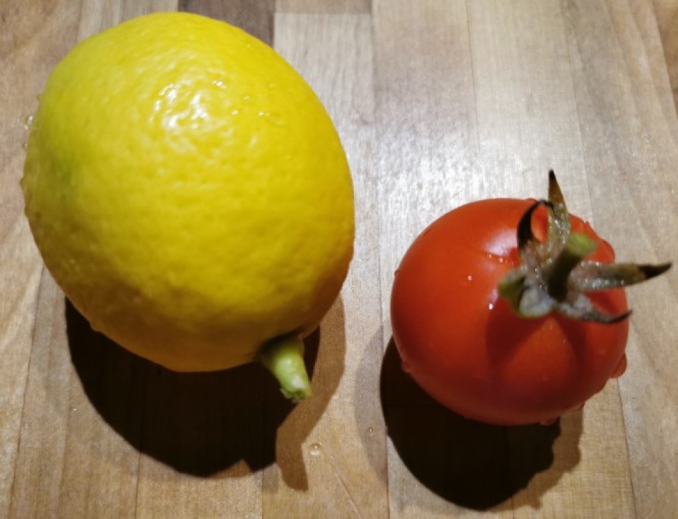 lemon in love