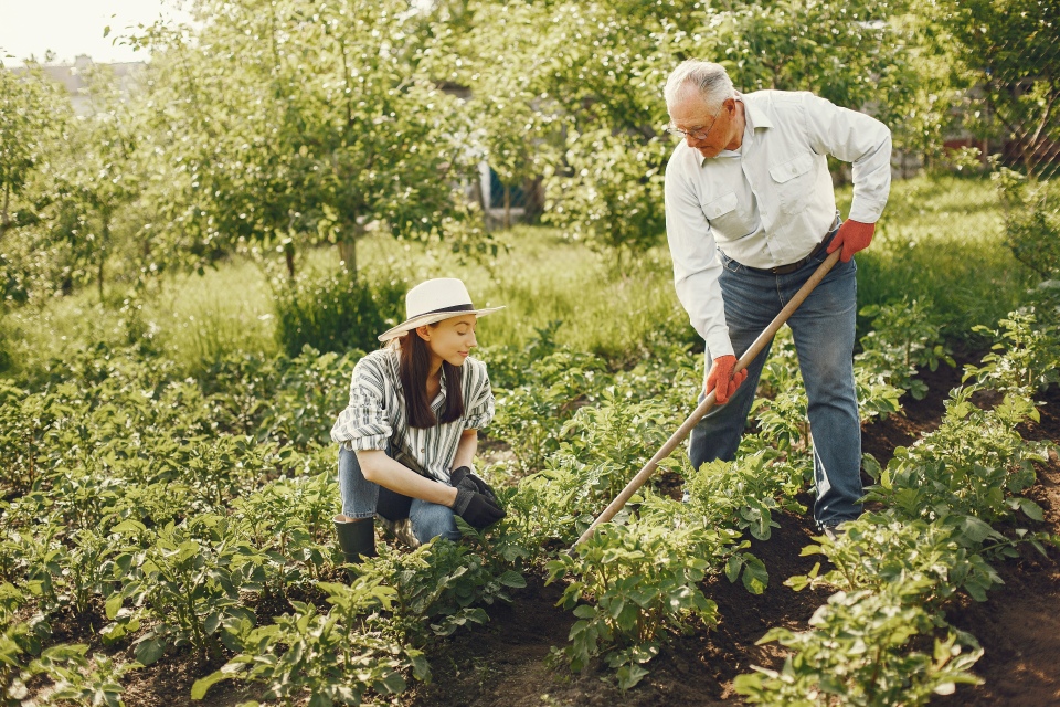 Gartentherapie