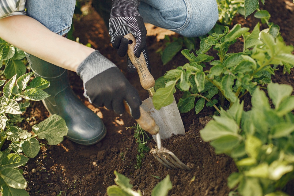 Gartentherapie