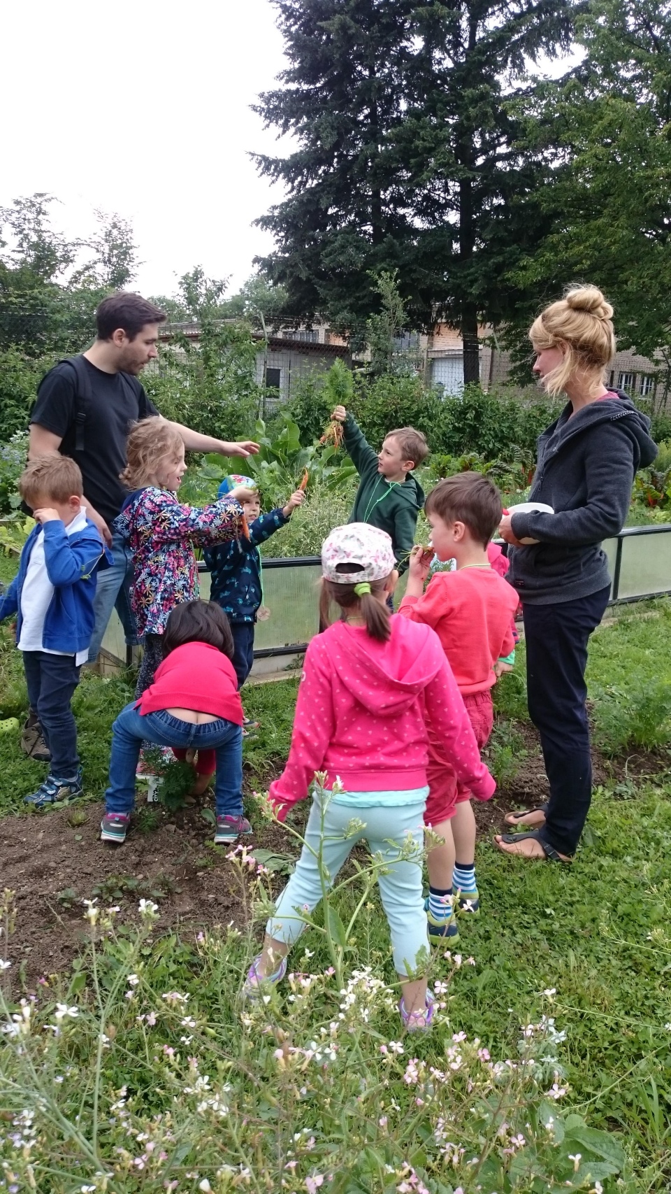 Junior Farming
